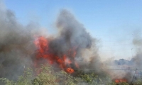 إخلاء أحياء كاملة في حيفا بسبب الحرائق